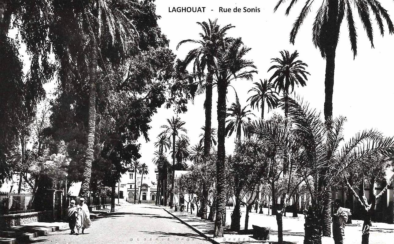 Laghouat - Rue de Sonis.jpg